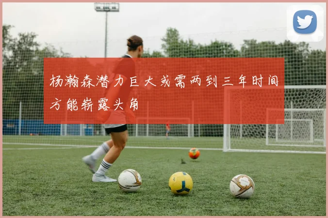 杨瀚森潜力巨大或需两到三年时间方能崭露头角