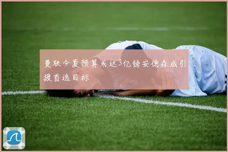 曼联今夏预算或达3亿镑安德森成引援首选目标